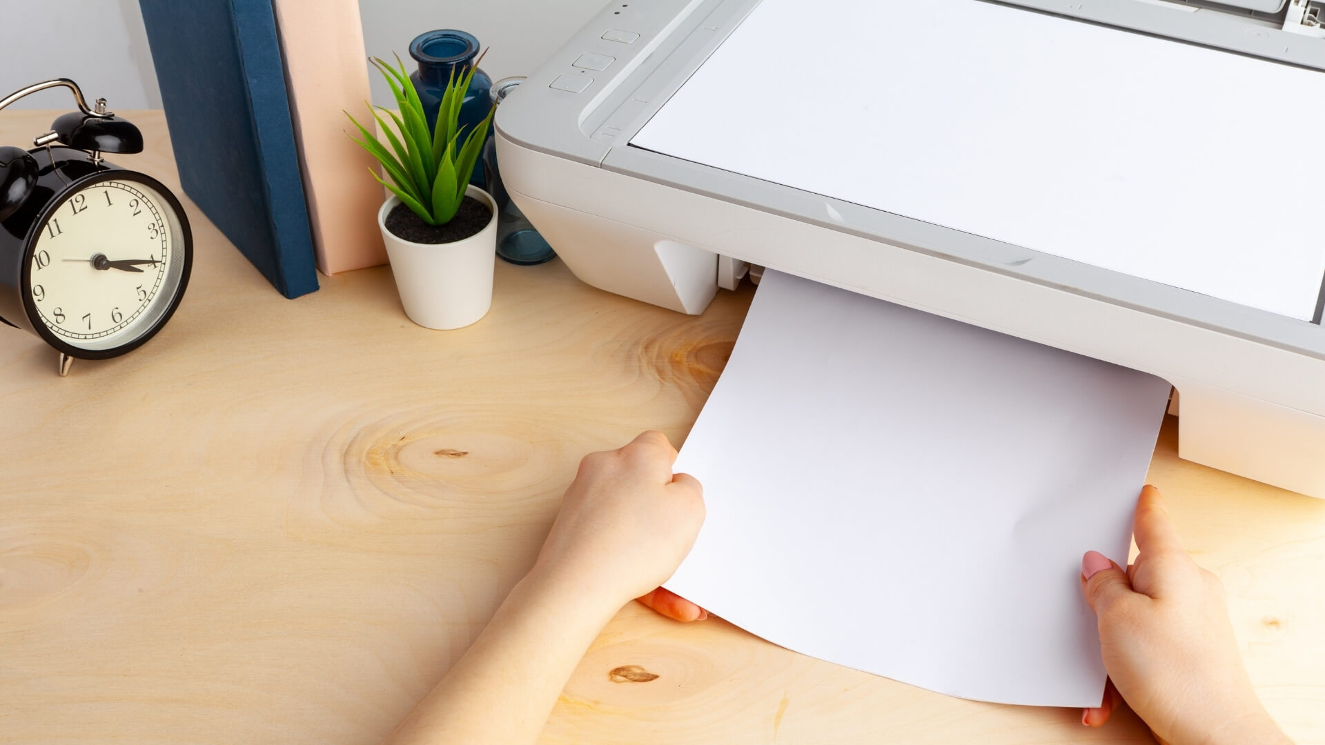 Předtisková korektura